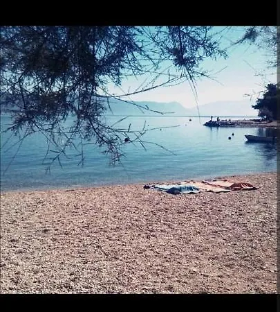 Paradise 特罗吉尔